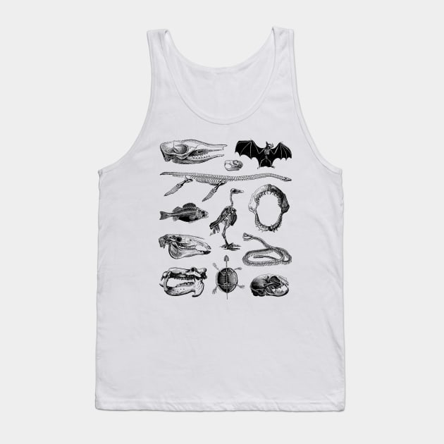 Animal Bones Tank Top by jdrdesign